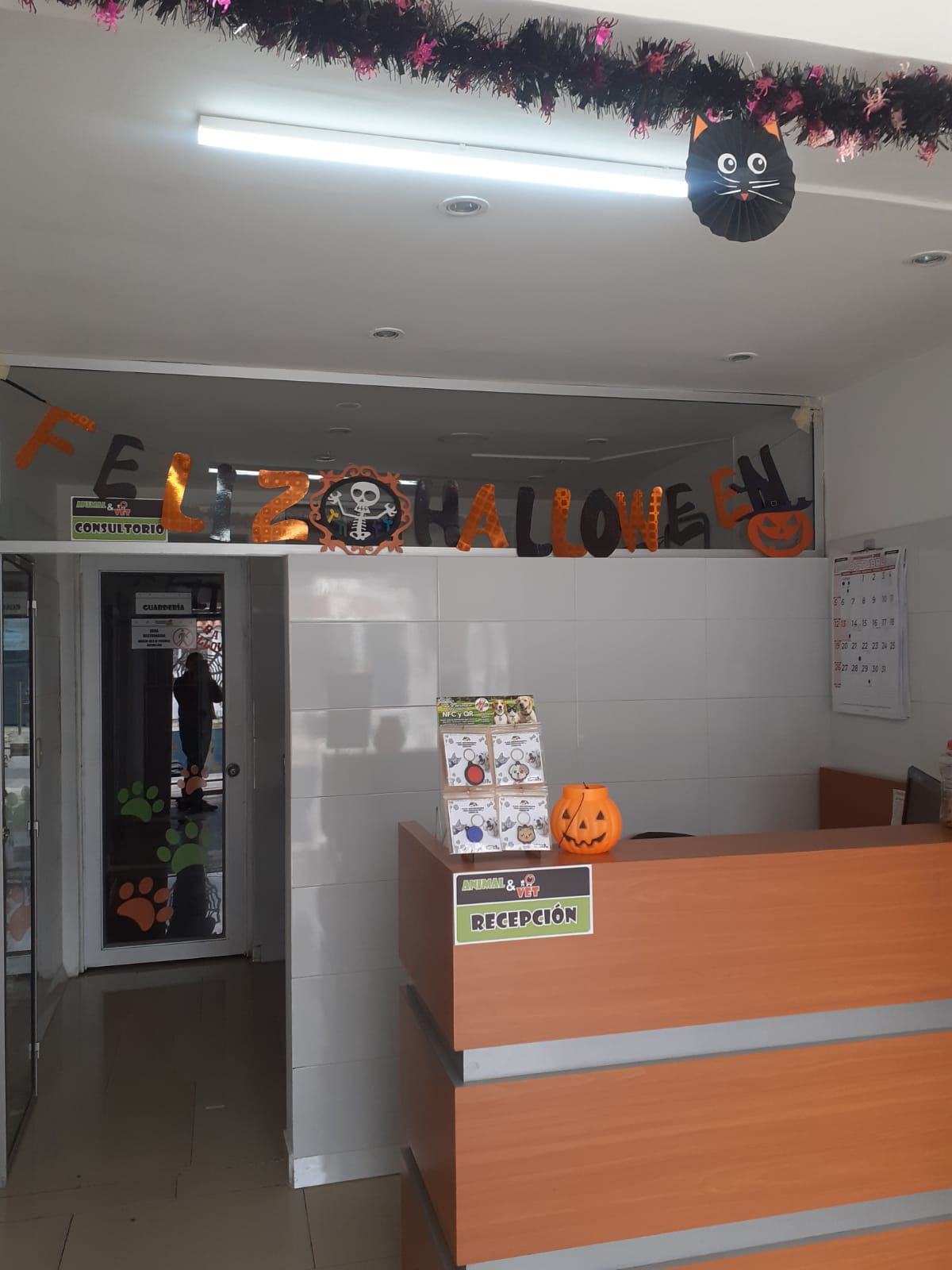 Recepción de la veterinaria